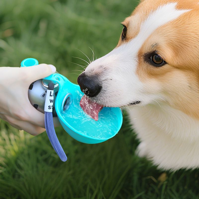 Taşınabilir Köpek Su Şişesi ve Katlanabilir Matara - 285 ml